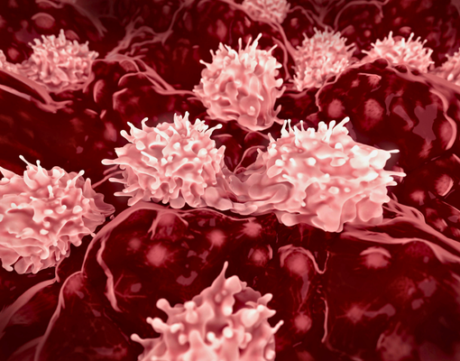 Bone Marrow Transplantation and Cellular Therapy